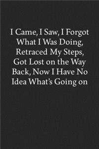 I Came, I Saw, I Forgot What I Was Doing, Retraced My Steps, Got Lost on the Way Back, Now I Have No Idea What's Going on