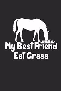 My Best Friend Eats Grass: Notizbuch Pferd Planer Reiten Notebook Pferde Journal 6x9 liniert