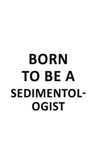 Born To Be A Sedimentologist