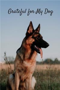 Grateful for My Dog