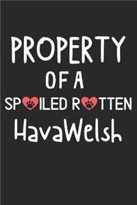 Property Of A Spoiled Rotten HavaWelsh