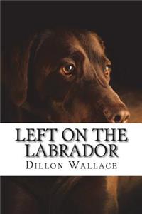 Left on the Labrador