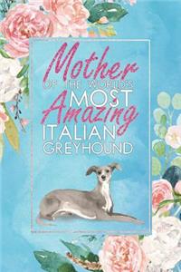 Mother of the World's Most Amazing Italian Greyhound