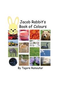 Jacob Rabbit's Book of Colour