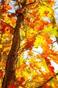 Sunlit Autumn Leaves Journal