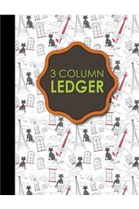 3 Column Ledger