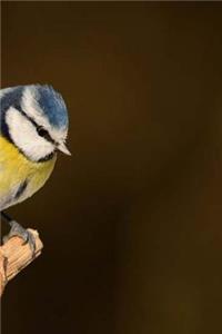 Blue Tit Notebook