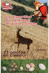 La disparition du père Noël et autres contes