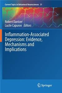 Inflammation-Associated Depression: Evidence, Mechanisms and Implications