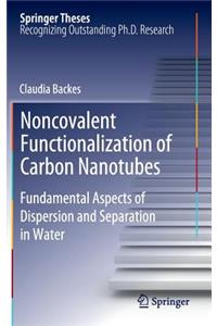 Noncovalent Functionalization of Carbon Nanotubes