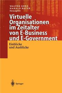 Virtuelle Organisationen Im Zeitalter Von E-Business Und E-Government