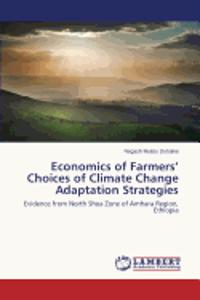 Economics of Farmers' Choices of Climate Change Adaptation Strategies