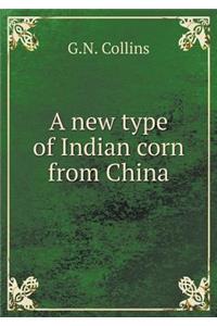 A New Type of Indian Corn from China