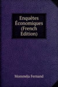 Enquetes Economiques (French Edition)