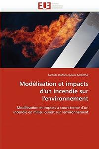 Modélisation Et Impacts d''un Incendie Sur l''environnement