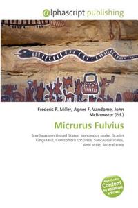 Micrurus Fulvius