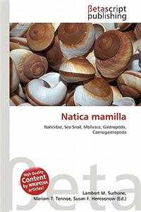 Natica Mamilla