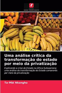 Uma análise crítica da transformação do estado por meio da privatização