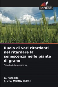 Ruolo di vari ritardanti nel ritardare la senescenza nelle piante di grano