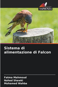 Sistema di alimentazione di Falcon