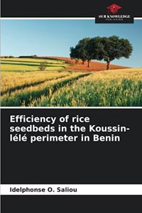 Efficiency of rice seedbeds in the Koussin-lélé perimeter in Benin