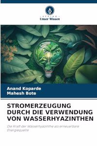 Stromerzeugung Durch Die Verwendung Von Wasserhyazinthen