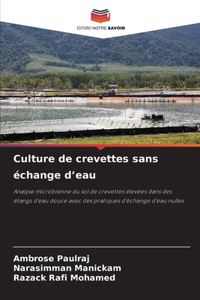 Culture de crevettes sans échange d'eau