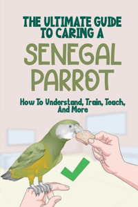 The Ultimate Guide To Caring A Senegal Parrot