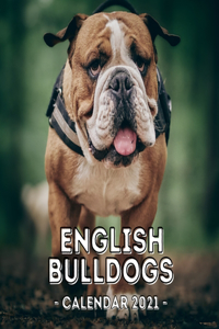 English Bulldogs 2021 Calendar