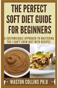 Perfect Soft Diet Guide for Beginners