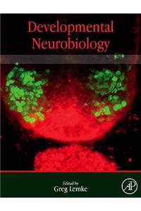 Developmental Neurobiology