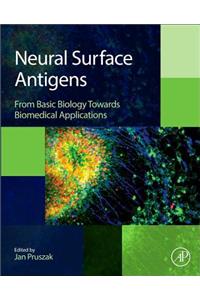 Neural Surface Antigens