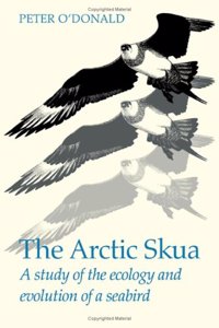 The Arctic Skua