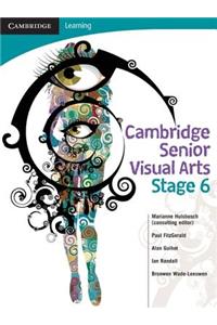 Cambridge Senior Visual Arts with Student CD-ROM