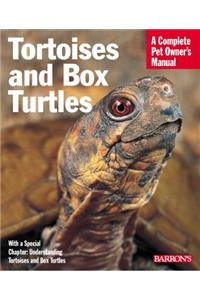 Tortoises and Box Turtles