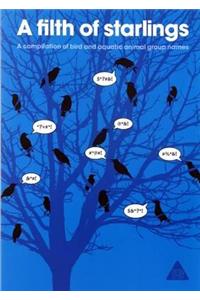 A Filth of Starlings