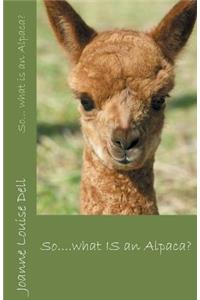 So... What is an Alpaca?