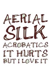 Aerial Silk Acrobatics It Hurts But I Love It