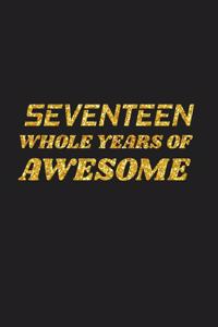 Seventeen Whole Years Of Awesome