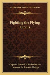 Fighting the Flying Circus