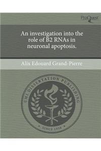 An Investigation Into the Role of B2 Rnas in Neuronal Apoptosis.