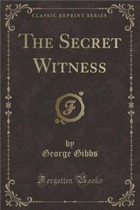 The Secret Witness (Classic Reprint)