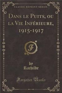 Dans Le Puits, Ou La Vie Infï¿½rieure, 1915-1917 (Classic Reprint)