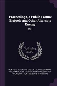 Proceedings, a Public Forum