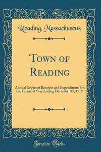 Town of Reading: Annual Report of Receipts and Expenditures for the Financial Year Ending December 31, 1919 (Classic Reprint)