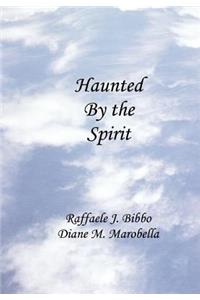 Haunted by the Spirit