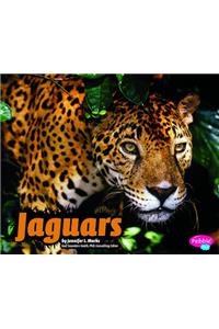 Jaguars