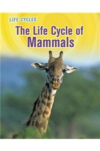 The Life Cycle of Mammals