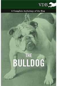 Bulldog - A Complete Anthology of the Dog -