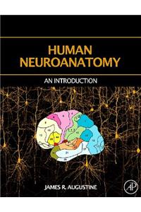 Human Neuroanatomy